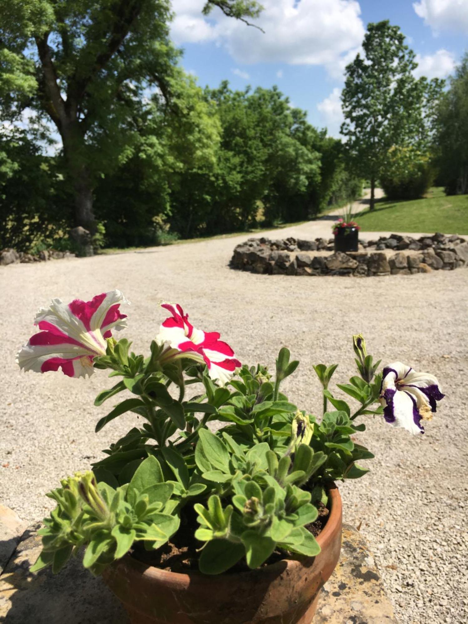 Coutillard Parisot  Экстерьер фото